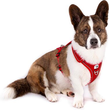 Шлейка для собак Belka, регульована, чорна, XL