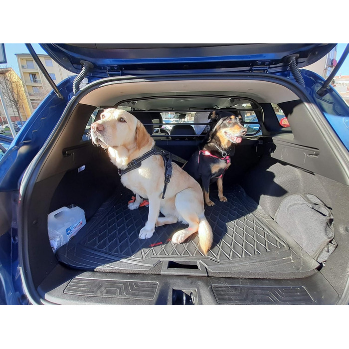 Сітка-перегородка ERGOTECH для Renault Kadjar (RDA65HBG-S) - захист для собак та багажу