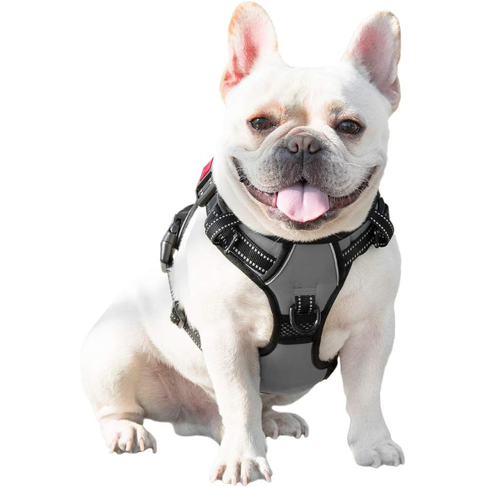 PHOEPET регульована антиковзна шлея для собак XL, сіра, з ручкою, відбивачем та 2 металевими кільцями