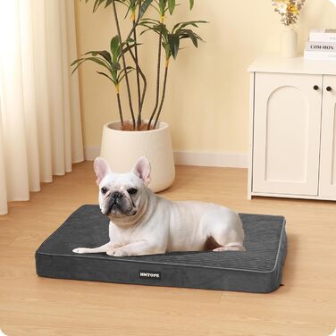 Ортопедичне ліжко для собак, 8 см товщина, подушка для маленьких собак, знімний та пральний килимок, неслизьке дно, водонепроникна підкладка, 76 см, темно-сірий L 76 x 51 x 8 см, темно-сірий