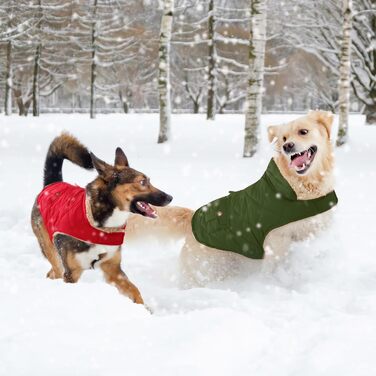 Зимовий теплий одяг для собак: куртка з флісу, підходить для чихуахуа та такс, з отвором для повідка, зелена, XS
