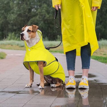 Дощовик для собак Kuoser, жовтий, XL - водонепроникний захист від дощу