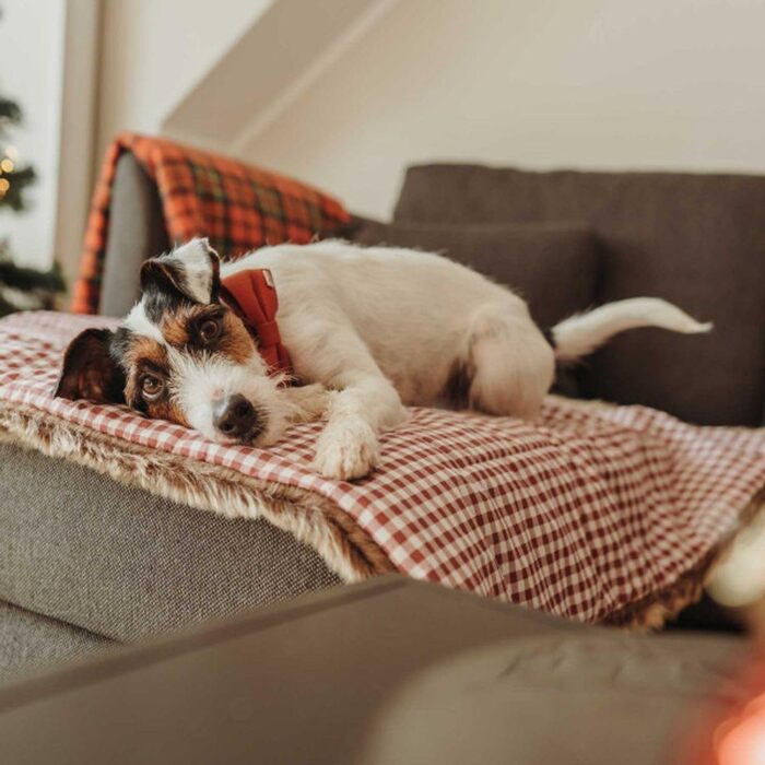 М'яка собача ковдра HUNTER ASTANA в клітинку, 30°C, червона