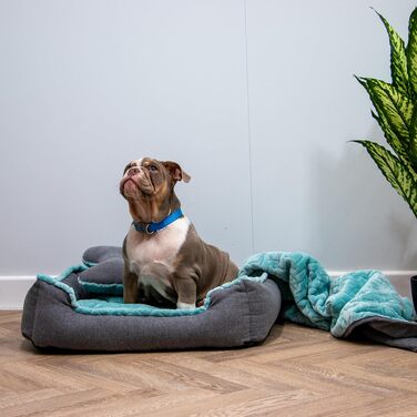 Крісло-лежанка для собак Ancol – м'яка підстилка для дому, 60 x 50 см (блакитно-зелений)