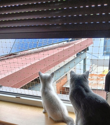 Захисна сітка на балкон для котів, посилена дротом, без свердління, 4x3 м