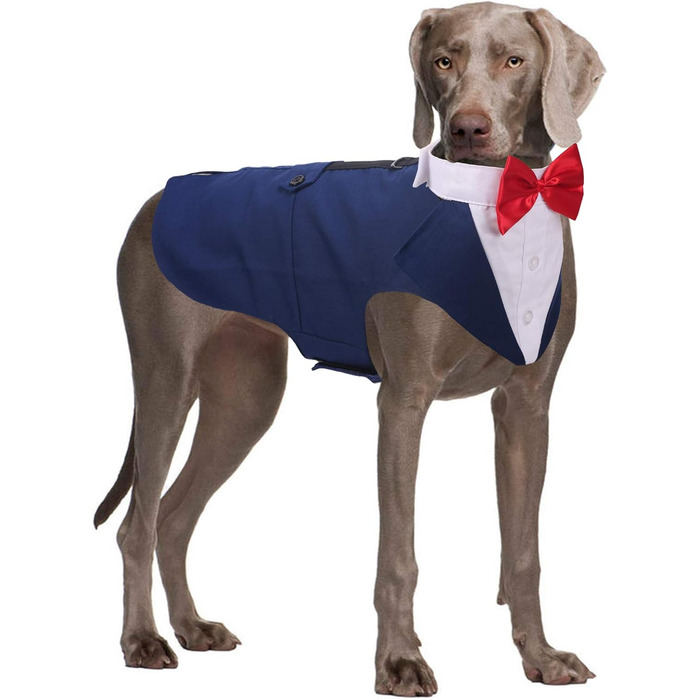 ЕлегантнийSmoking для собак середніх та великих порід, костюм смокінг, набір для вечірки/весілля з знімним коміром, комплект для косплею, відпочинку (2XL, синій)