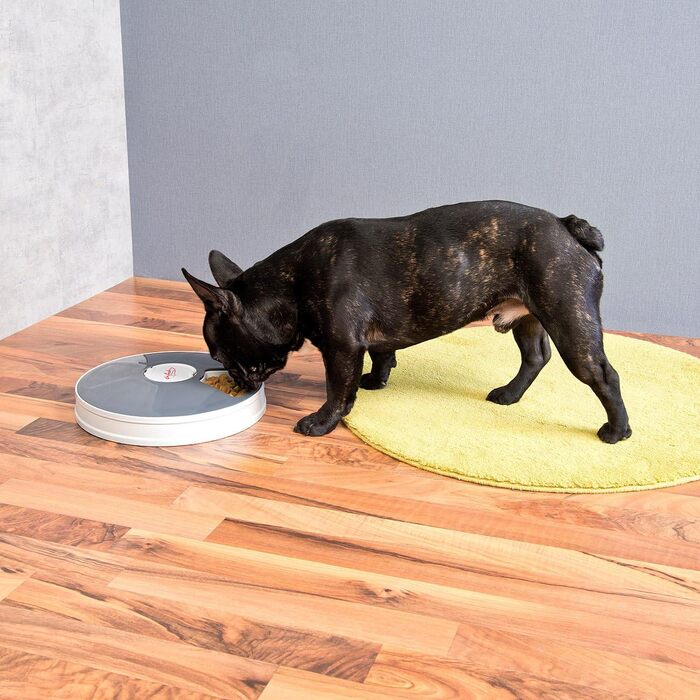 Автоматичний годівниця для котів та собак Infactory Fressnapf з таймером, LCD-дисплеєм (6 відділень)