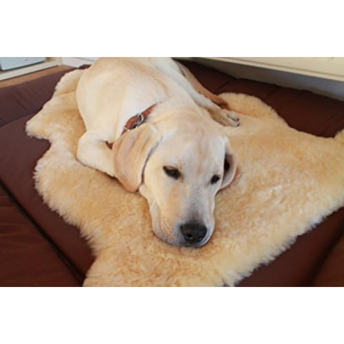 М'який лежак для собак та котів з овечої вовни Merino, 60 см. Оeko-Tex 100, німецька якість. Легко миється.