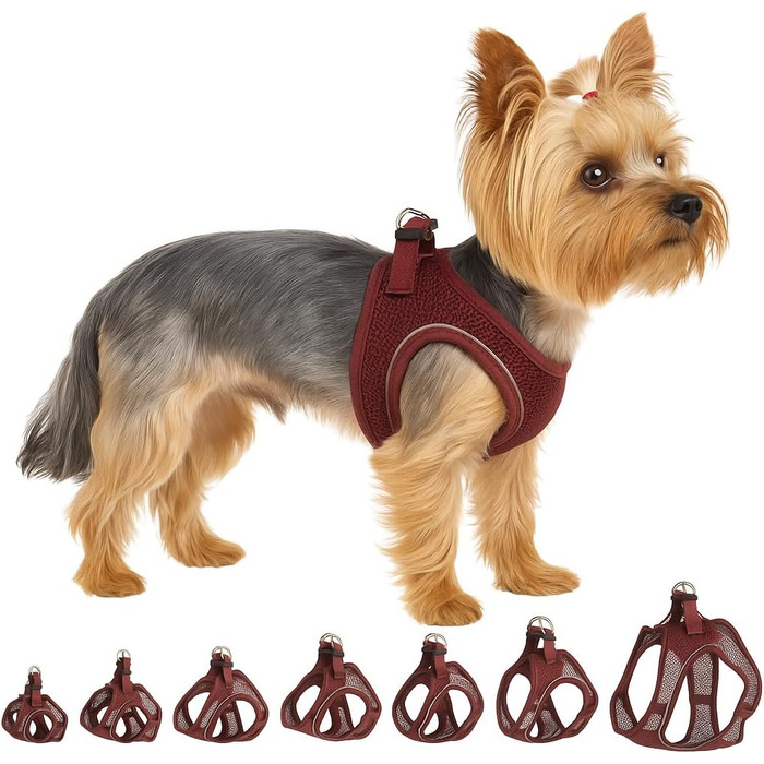 Шлейка для собак середнього розміру Flamingo Step&Go Bento (фіолетовий, XS)