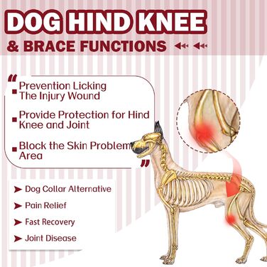 Комбінезон для собак після операції на ногах – захист від витікання, запобігання інфекцій, розмір XL, бордовий