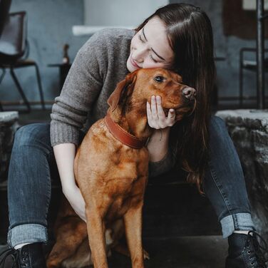 Нашийник для собак HUNTER AALBORG SPECIAL, шкіряний, міцний, комфортний, розмір M, колір cognac, 80 см