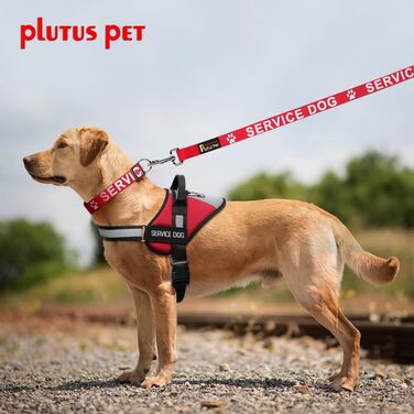 Нашийник для собак Plus Pet Service з великим написом на нейлоновій стрічці, запобігає нещасним випадкам, попереджає інших собак, 2 кольори, 4 розміри