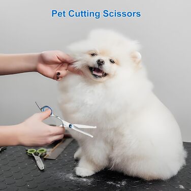 Набір професійних ножиць для собак 7 в 1 з нержавіючої сталі, з безпечними закругленими кінчиками. Включає ножиці для вирівнювання, вигнуті та прямі ножиці, гребінець для грумінгу. Підходить для собак, котів та інших тварин