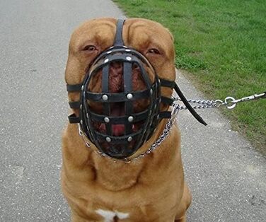 Корзина для дресирування собак L&J Pets Biothane для догів (XDB1, чорний)