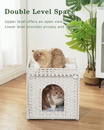 Ротангове котяче ліжко-купол для домашніх котів, подвійне котяче ліжко з м'якими двосторонніми подушками, велика котяча хатка ручної роботи для кімнатних котів