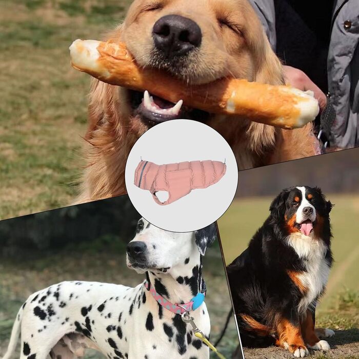 Зимовий одяг для собак - тепла куртка з поліестеру 75 см | Теплий одяг для маленьких, середніх та великих собак, стійкий до холоду, модний одяг для активного відпочинку на природі