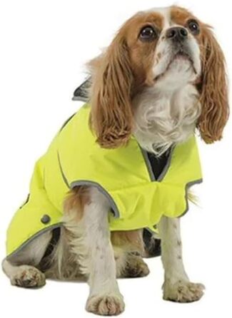 Водовідштовхуючий плащ для собак Ancol Muddy Paws, високої видимості, розмір L (50 см, обхват до 79 см), для будь-якої погоди