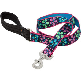 Повідок LupinePet Originals Flower Power з м'якою ручкою, 2,5 см, для середніх і великих собак