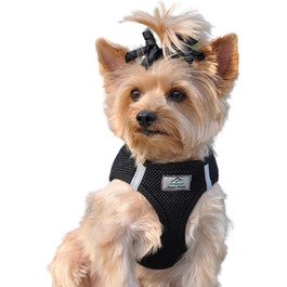 Шлея для собак Doggie Design, світловідбивна, Step-In, чорна, всі розміри