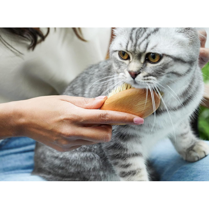 Щітка для котів LucyBalu® для короткої та довгої шерсті | Щітка для вичісування шерсті котів | Щітка для підшерстка котів | Гребінець для котів для догляду за шерстю | Щітка для шерсті тварин | Щітка для котів з щетиною та дерев'яною ручкою білого кольору