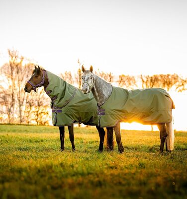 Кінська попона Horseware Amigo Hero Ripstop Plus, легка, 0 г, розмір 66, колір Bramble/Winterberry & Taupe
