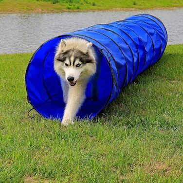 Тунель для собак Lionto Outdoor – іграшка для собак великих та малих порід, 500x60 см, синій. Міцний, складаний тунель для активних ігор та дресирування з практичною сумкою.