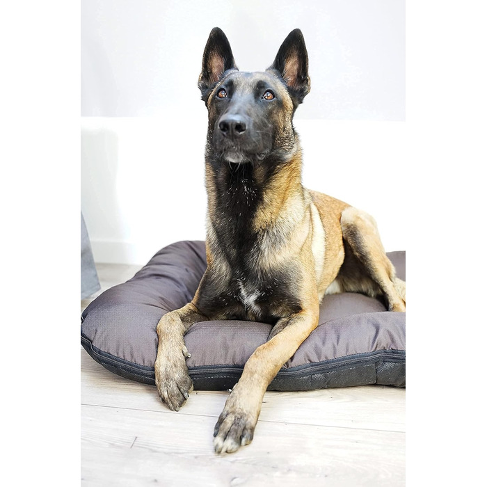 Ліжко для собак 4L Textil KLEO для великих собак, велике, знімний чохол, 130x110 см, коричневе