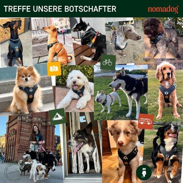Шлея для собак Nomadog Trailblazer, антивитяг, з м'якою підкладкою та ручкою, регульована, відбиваюча, алюмінієві кільця, для активних собак середніх порід (M)