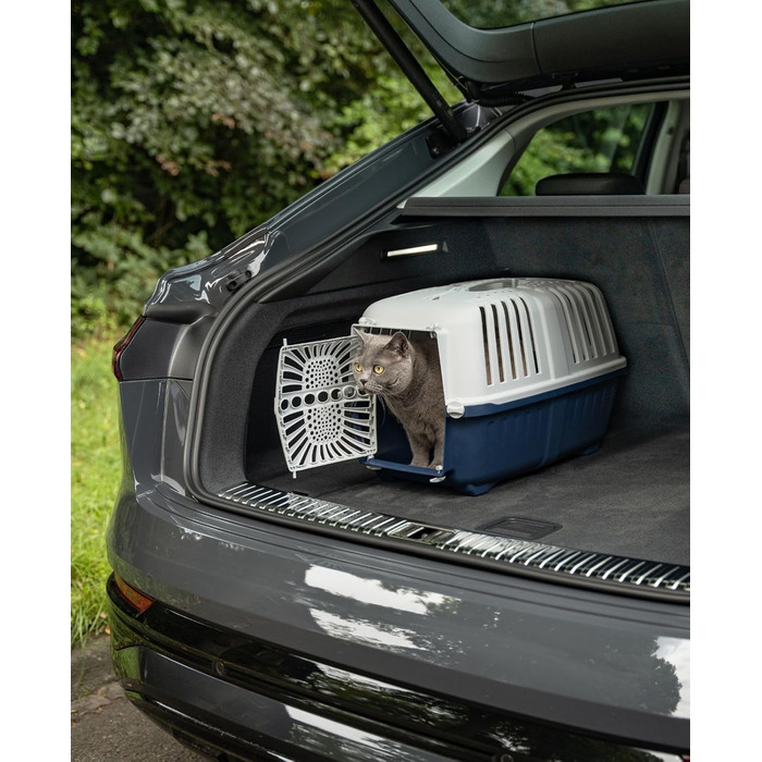 Транспортна переноска для собак Lionto, 55x36x36 см, сіра, з ручкою, для котів та тварин до 15 кг