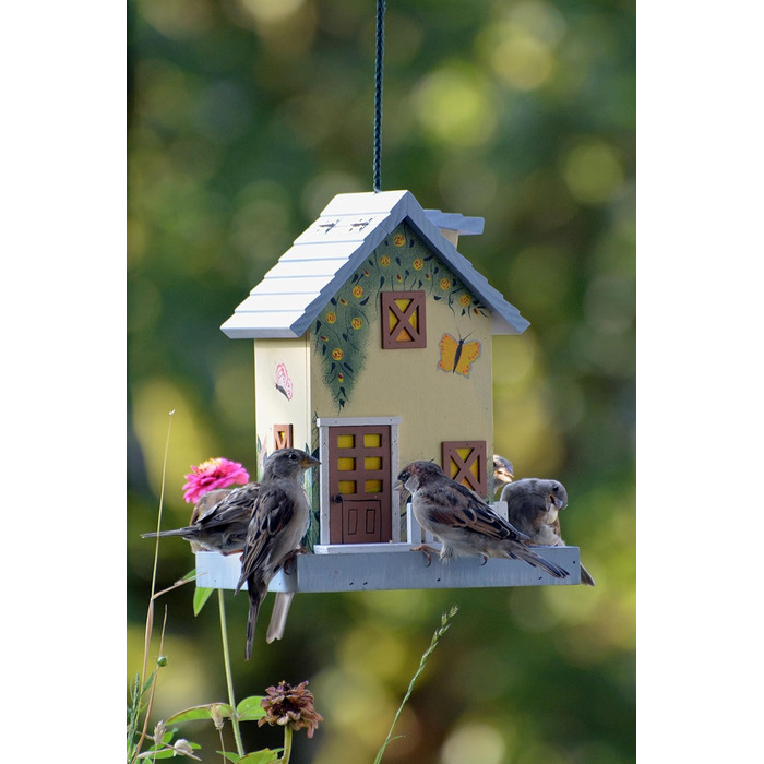 Будиночок для птахів Dobar® 25119FSC Summer - яскравий дерев'яний годівничок для птахів, 18x18x23 см