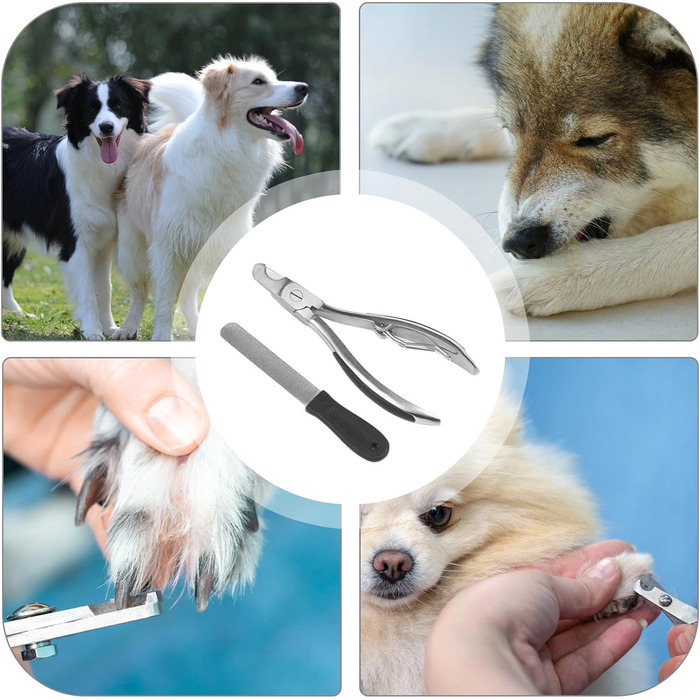 Професійні ножиці для стрижки кігтів собак - прецизійні, з неслизьким покриттям, для великих та середніх порід, котів та інших домашніх тварин. Ідеально для догляду вдома та в подорожах