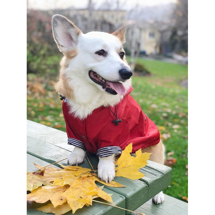 Дощовик для собак Ellie Dog Wear з відбивними кнопками, кишенями, водовідштовхувальний, знімний капюшон, регульований шнурок, розміри XS–XXL