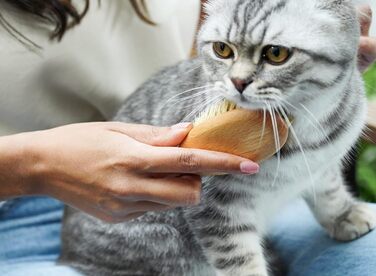 Щітка для котів LucyBalu® для короткої та довгої шерсті | Щітка для вичісування шерсті котів | Щітка для підшерстка котів | Гребінець для котів для догляду за шерстю | Щітка для шерсті тварин | Щітка для котів з щетиною та дерев'яною ручкою білого кольору