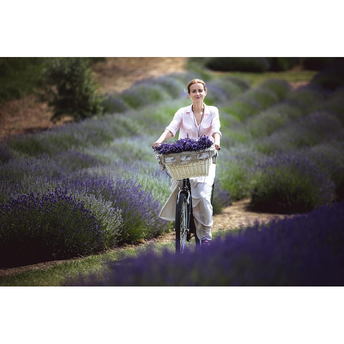 Фарбований плетенний кошик для велосипеда e-wicker24 1126-42, 42x36x24 см, медовий колір