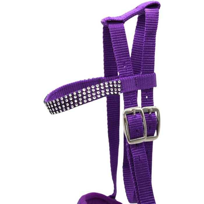 Зауваження для іграшкових коней PFIFF 'Lotty' (103126), універсальний розмір, фіолетовий