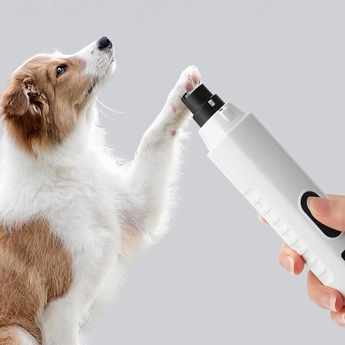 Електричний точильний верстат для нігтів домашніх тварин з подвійним світлом та LCD-дисплеєм, для точного підрізання нігтів, блакитний