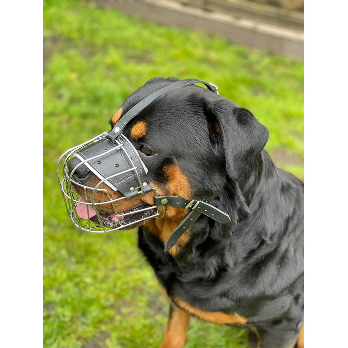 Міцний нашийник-маска для собак з металевої сітки, Rottweiler, Mastiff, Golden Retriever (R2, сріблястий/чорна шкіра)