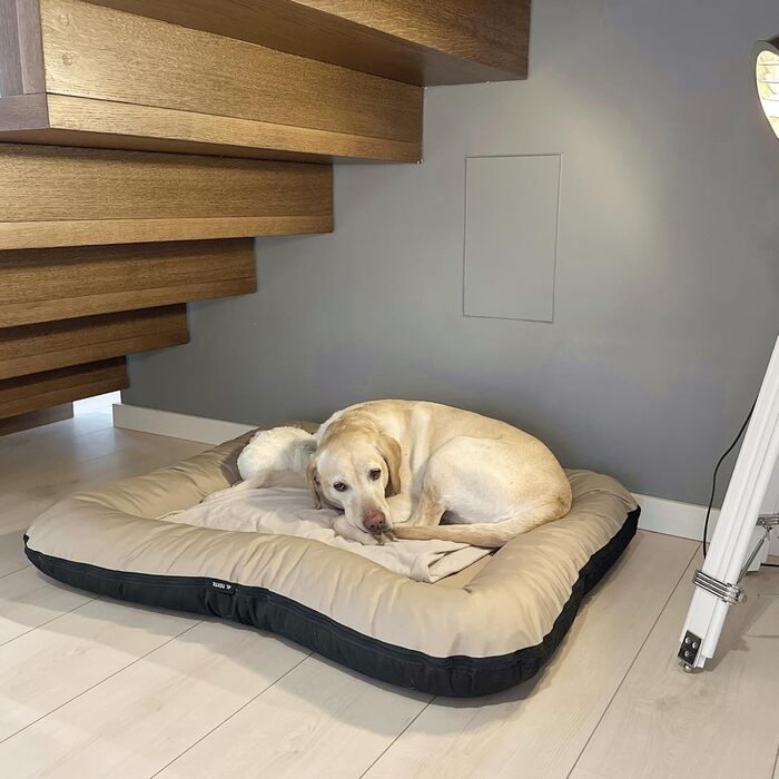 Клео - лежанка для собак середніх розмірів, 90x70 см, бежева, знімний чохол, водонепроникна, для собак великих порід