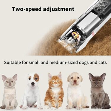 Airminti 4в1 Тиха машинка для стрижки шерсті котів, USB-зарядка, 4 знімні насадки, машинка для собак, для догляду за очима/вухами/лапами/нігтями (Рожева)
