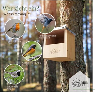 Дерев'яний будинок для птахів WILDLIFE HOME з металевим дахом, для малиновки, волового очка та напівпечерних птахів, погодостійкий, натуральне дерево, відповідає стандартам NABU