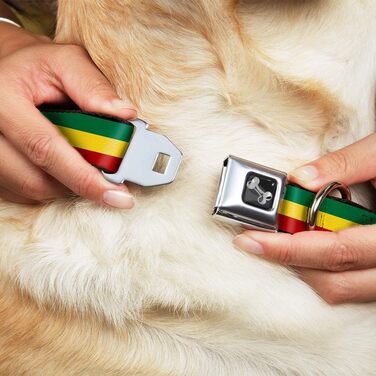 Нашийник для собак Buckle Down Rasta Bone, великий, 38,1–66 см