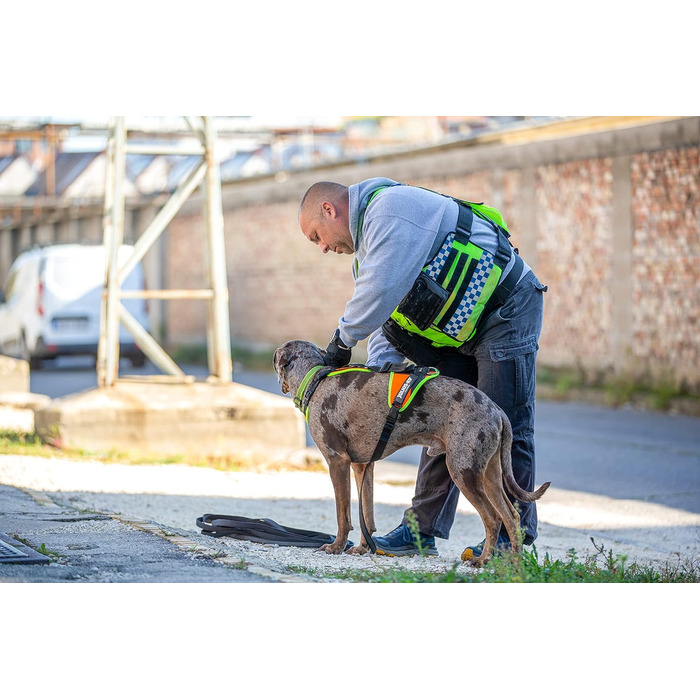 Шлейка для собак Julius-K9 Mantrailing Outdoor L-XL, неонова помаранчева з UV-кантом