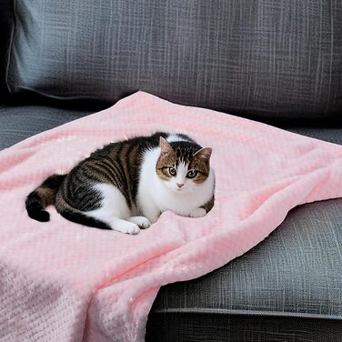 Двошарові ковдри для собак та котів SLSON, 70x100 см (блакитний та рожевий)