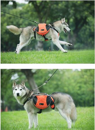 Рюкзак для собак середніх та великих порід, сумка-рюкзак для подорожей, прогулянок та тренувань, водонепроникний, з регульованою шлейкою та ручкою (зелений, L, 28-40 кг)