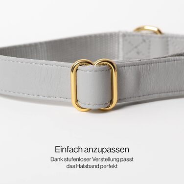 Набір нашийник і повідок VELVETIER Manhattan для собак S/M, веганська шкіра, 2м, з контейнером для пакетів