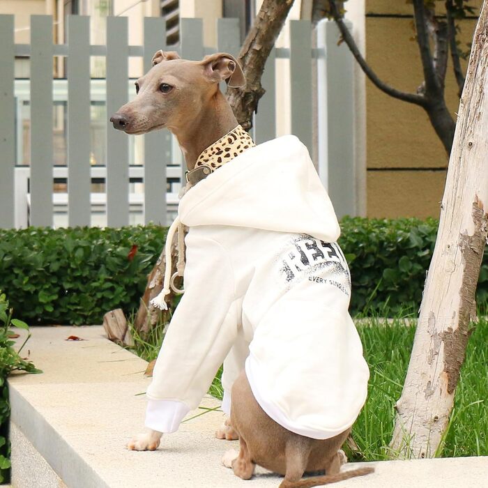 Світшот для великих собак, віндгаунд, піжама, теплий зимовий костюм з довгим рукавом, рожевий, 3XL