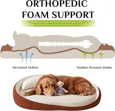 Ортопедичне собаче ліжко XXL з подушкою – комфортне собаче ліжко-софа з піною з пам'яті, знімний та пральний чохол – для великих собак, міцне та затишне, помаранчеве
