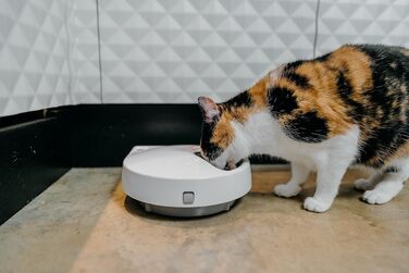 Автоматична годівниця Cat Mate C500 з цифровим таймером для котів
