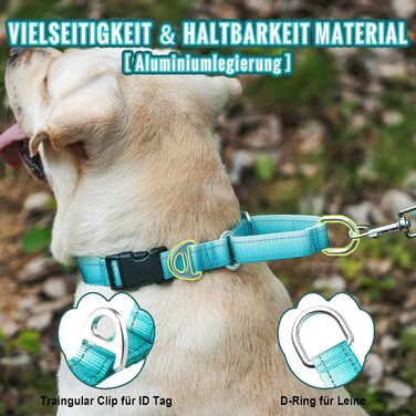 Відбиваюче нашийник для собак Martinage, нашийник-стоп для собак великих, середніх та малих порід, нашийник-стоп для Whippet, Greyhound, Saluki (Турквіс, S)