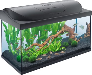 Акваріум Tetra Starter Line 54л Комплект Чорний: LED підсвітка, фільтр, обігрівач, корм, кондиціонер